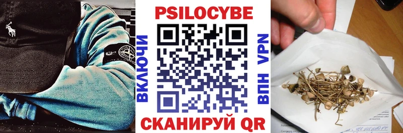 Галлюциногенные грибы Psilocybe  купить   Черепаново 