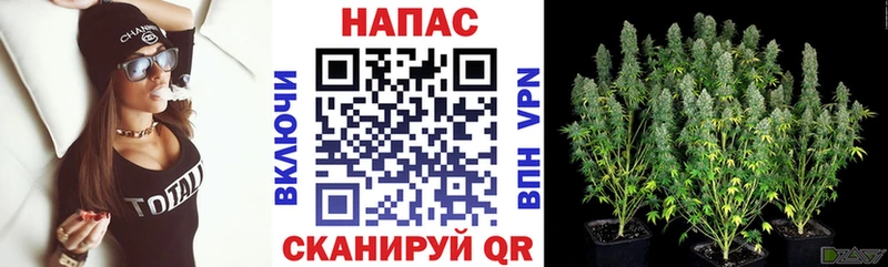 omg ТОР  Черепаново  Каннабис марихуана 